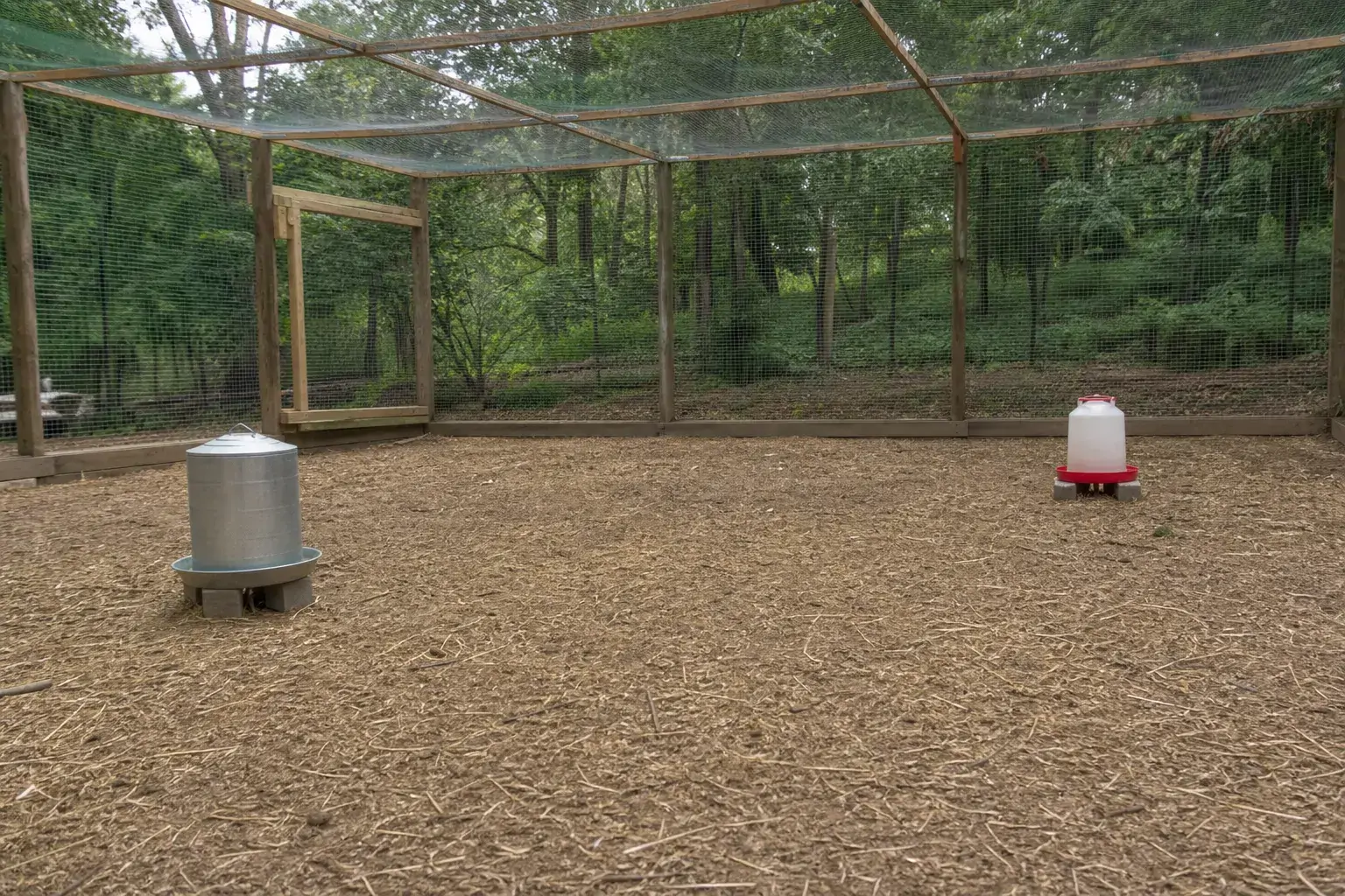 Two separate feeding stations set up in a chicken run to reduce competition